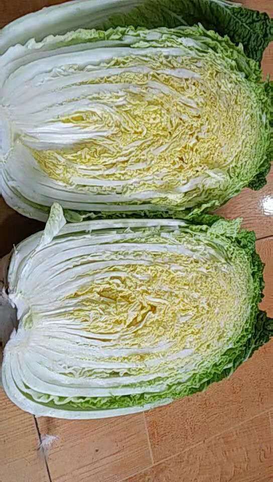 黄心大白菜 3~6斤 净菜