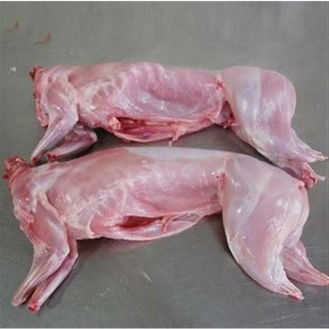 肉兔2.5斤