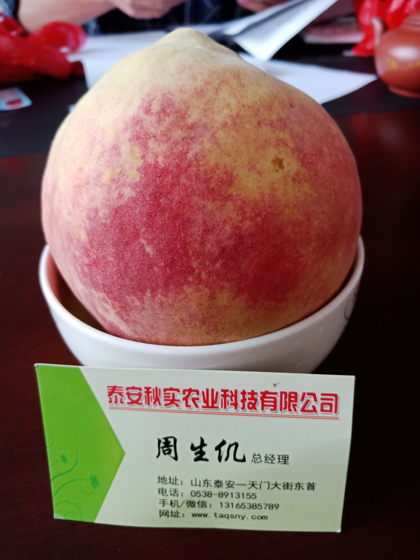 中华寿桃桃树苗 1~1.5米