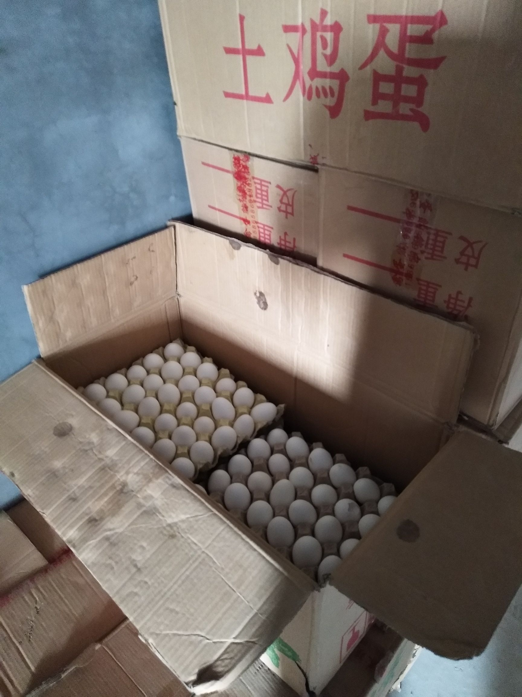 海兰白鸡蛋 箱装 食用