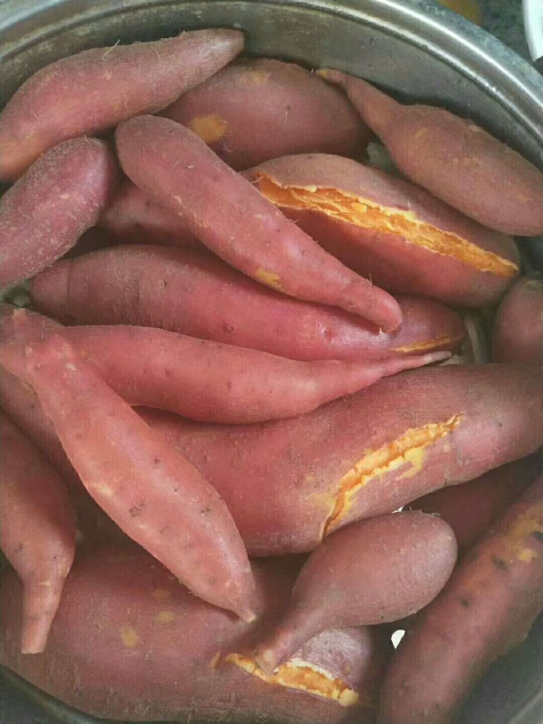 山东青岛市莱西市西瓜红红薯最新产地行情趋势