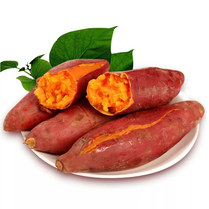 供应大厅  蔬菜 红薯 六鳌地瓜 红皮 3两以下 约5.0斤/箱