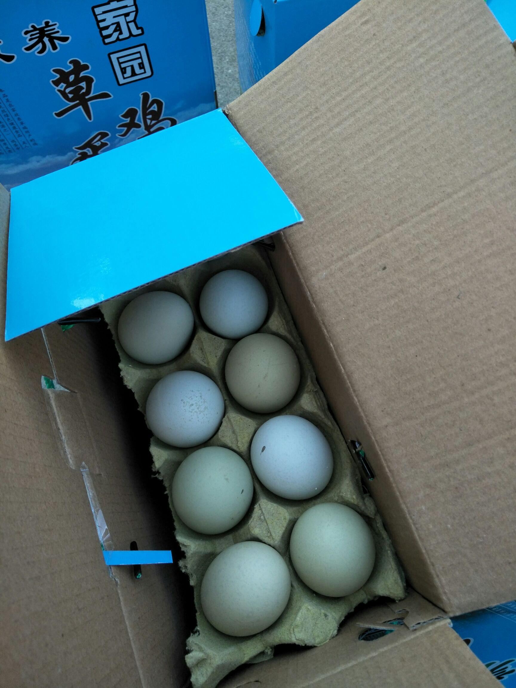 山东潍坊市高密市土鸡蛋最新产地行情趋势|产