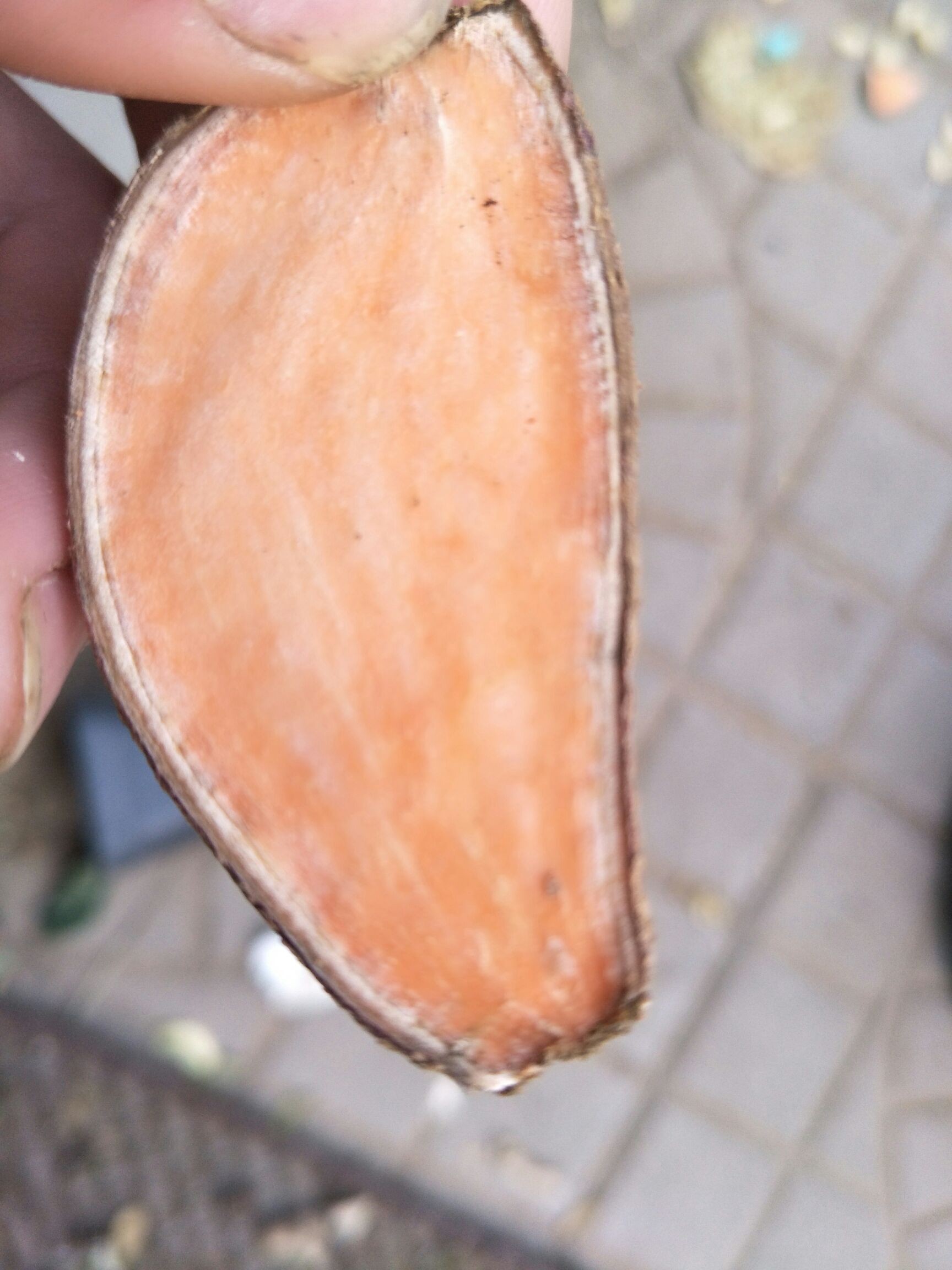 红香蕉红薯 红皮 1斤~1.5斤