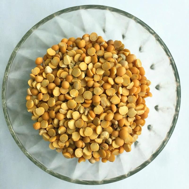 四川攀枝花市米易县白豌豆最新产地行情趋势|