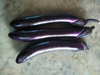 茄子价格_茄子行情走势_茄子批发价格查询