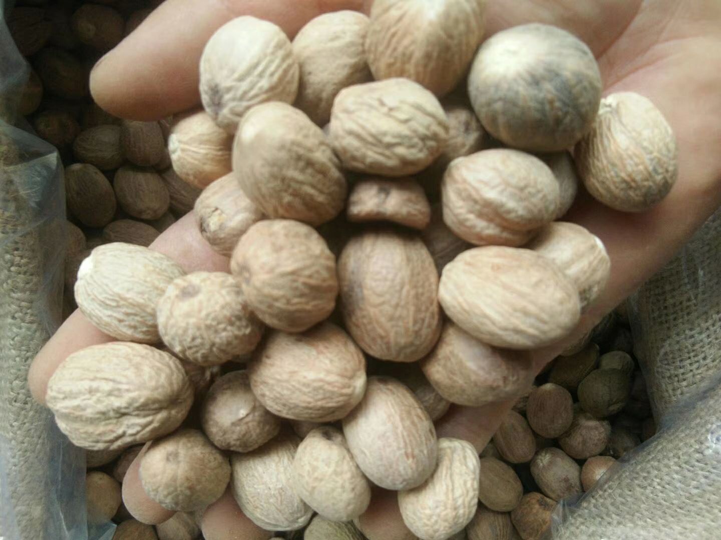 豆蔻 玉果,肉蔻,包邮