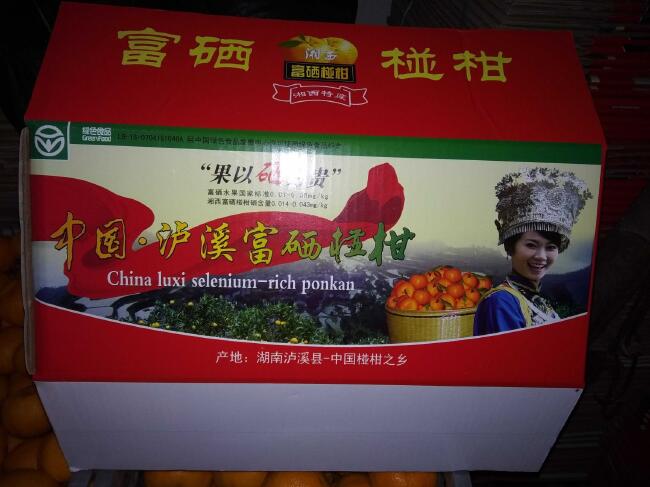 泸溪椪柑 6.5 - 7cm 3两以上