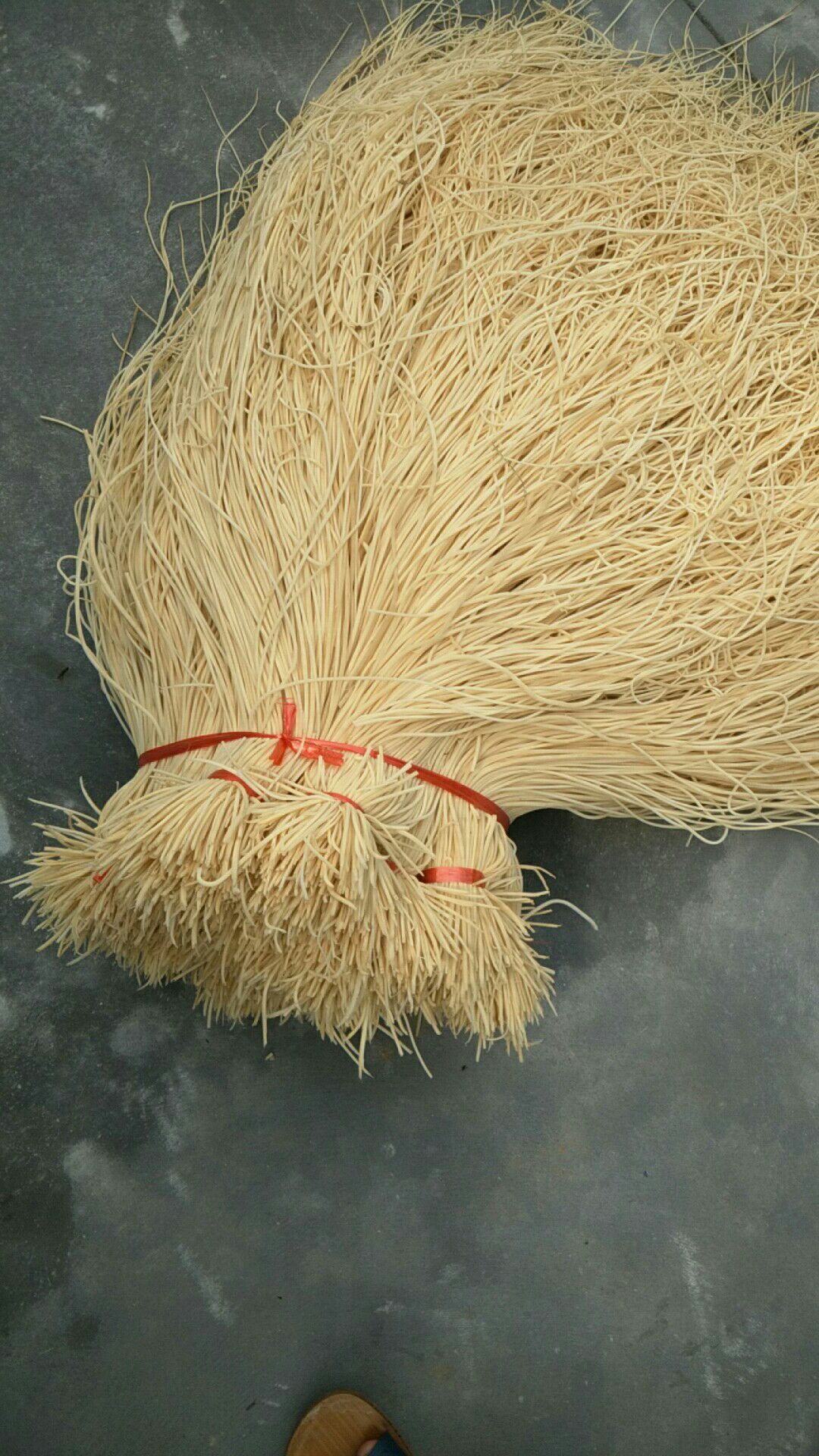 灯芯草