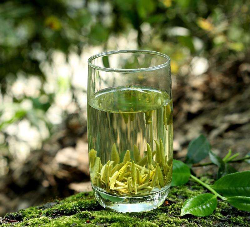 [竹叶青茶批发]竹叶青茶 袋装 特级 价格430元/斤