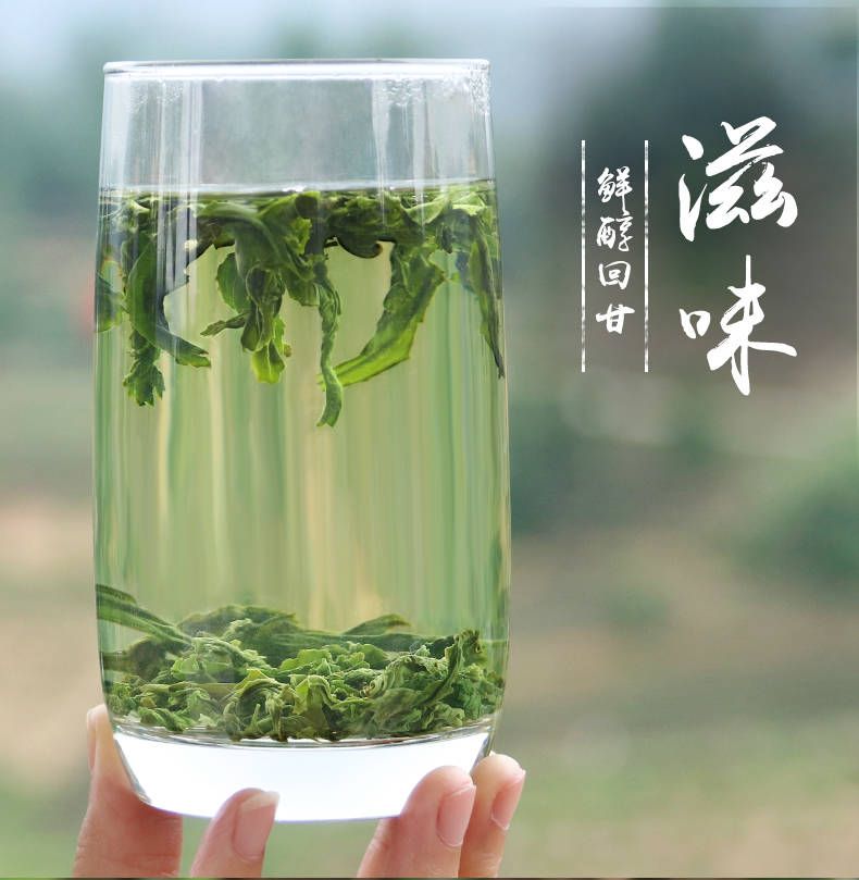 两罐共1斤六安瓜片绿茶2021新茶礼盒特级散装茶500克