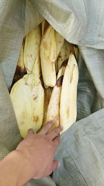 【棕包批发】棕包价格7元\/斤 100斤起批