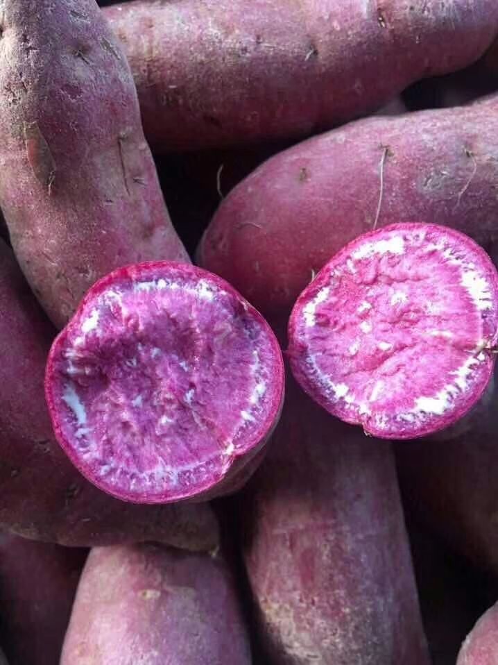 越南紫薯 混装通货