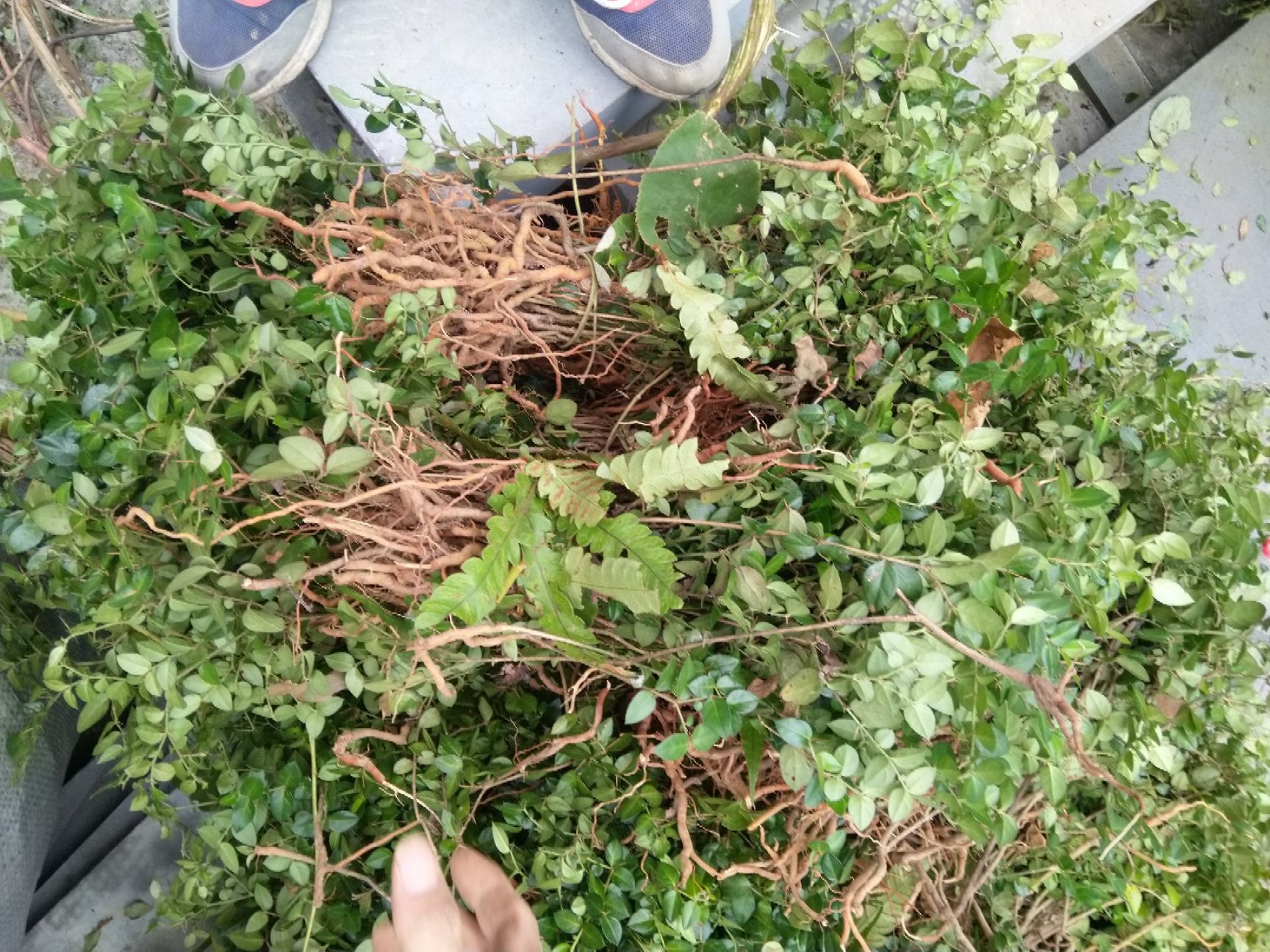 绣花针 湿