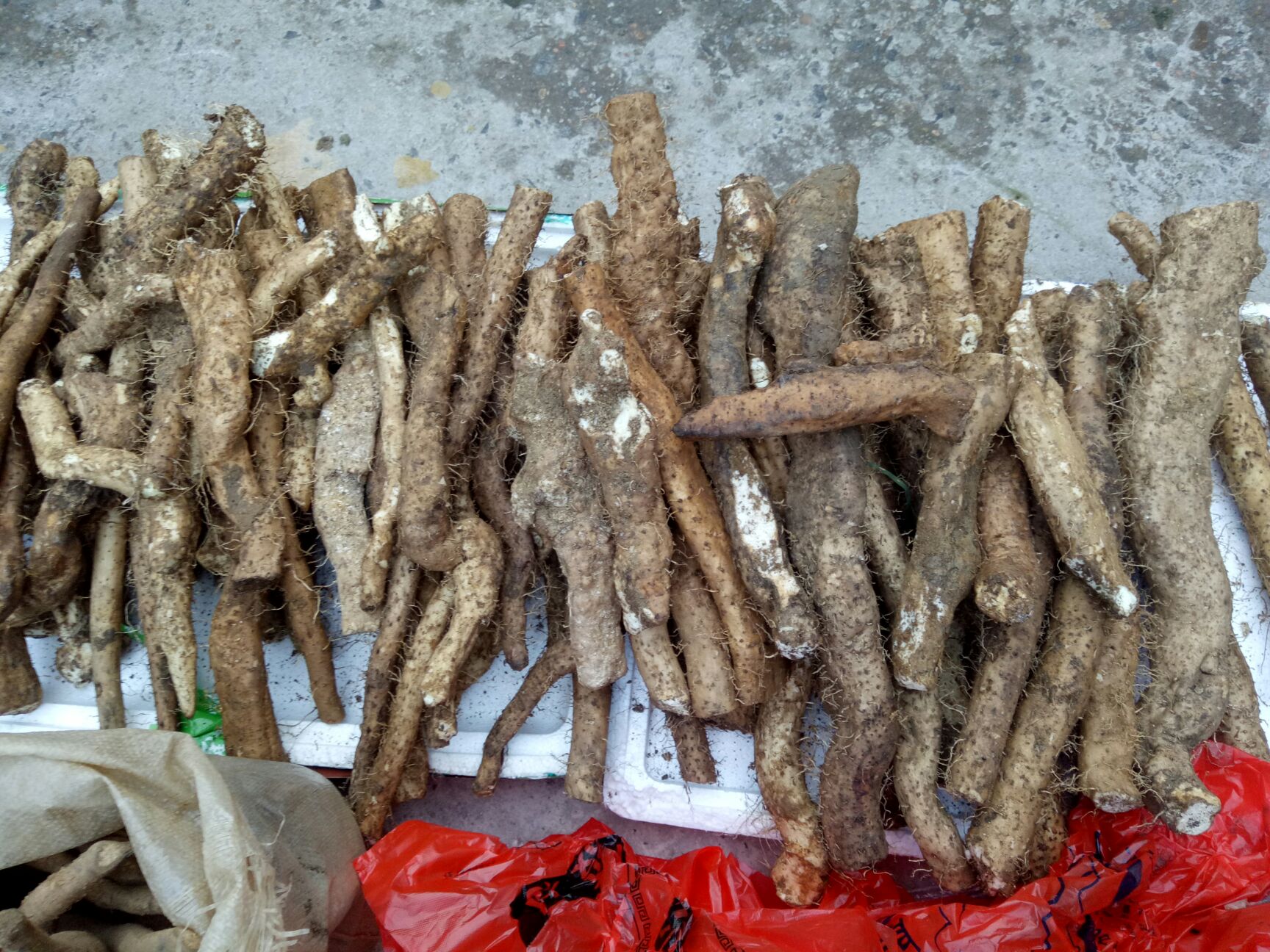 海南,纯野生山药,绝对野生,假一赔十.  