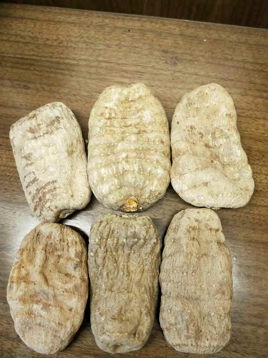 小草坝天麻