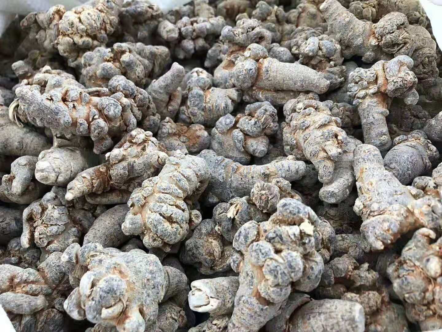 三七