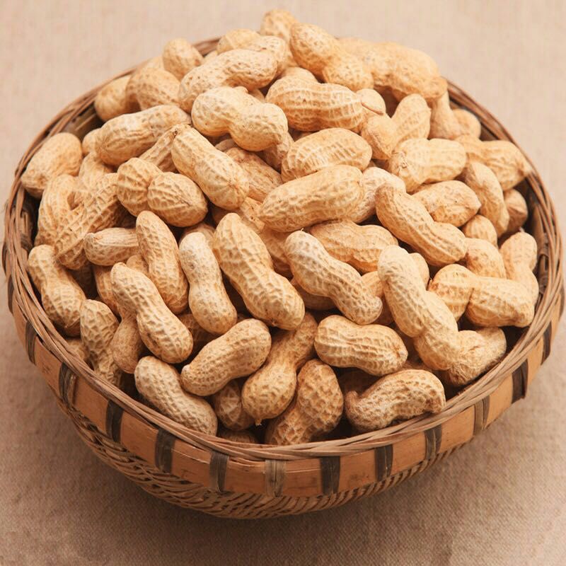 2020年新货 带壳花生 干货 粒粒饱满