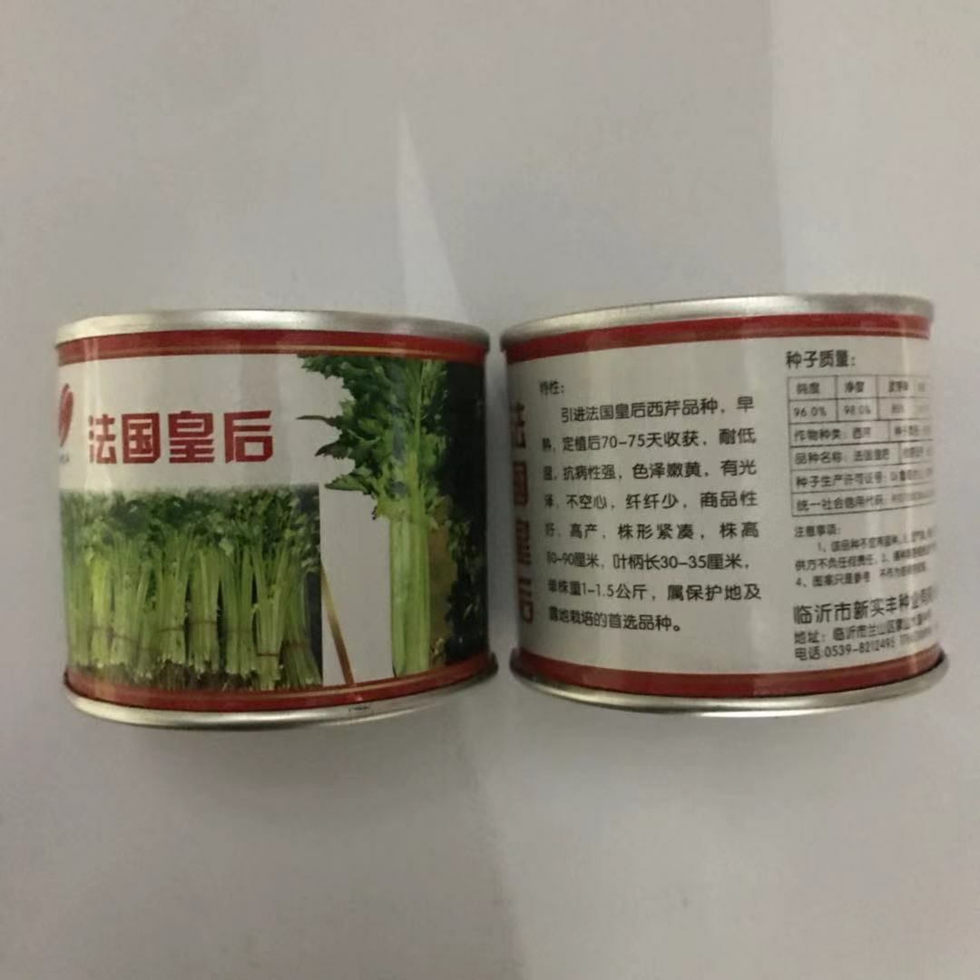 法国皇后西芹种子,需要的朋友联系我    