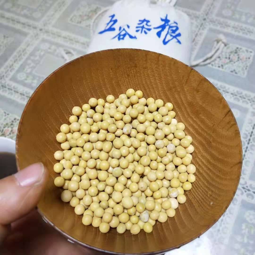 克山一号大豆 生大豆 1等品