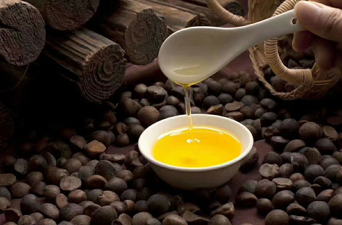 油茶籽