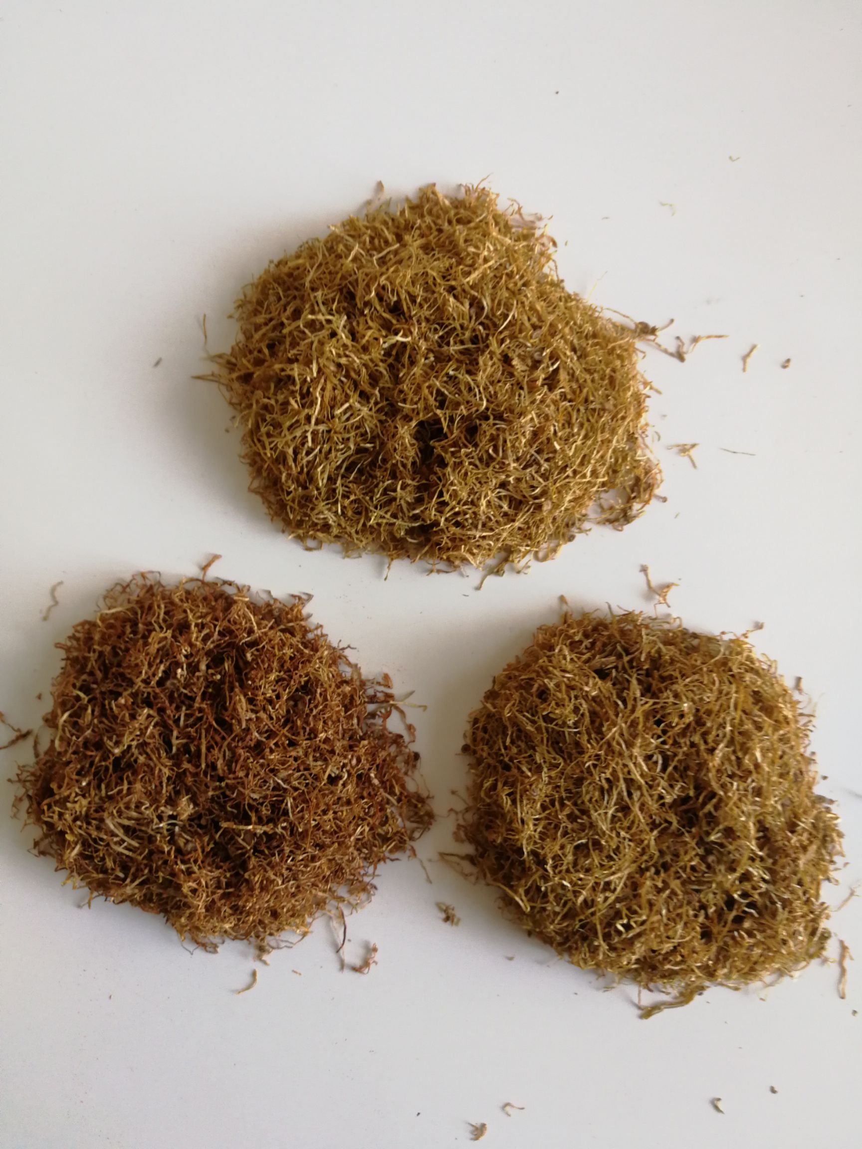烟草种子 批发散装烟丝卷烟叶丝