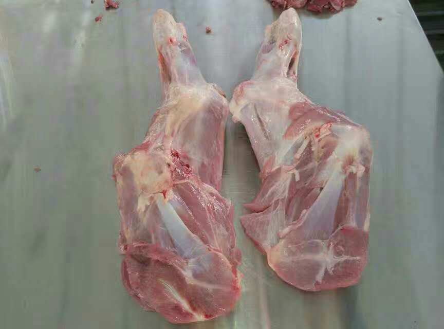 牛腿皮 乳牛腿小牛腿