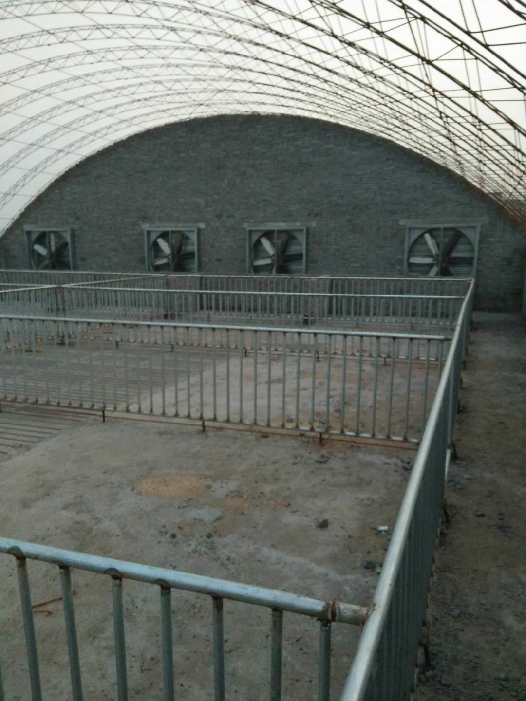 养殖大棚 养殖鸡猪大棚专业建造