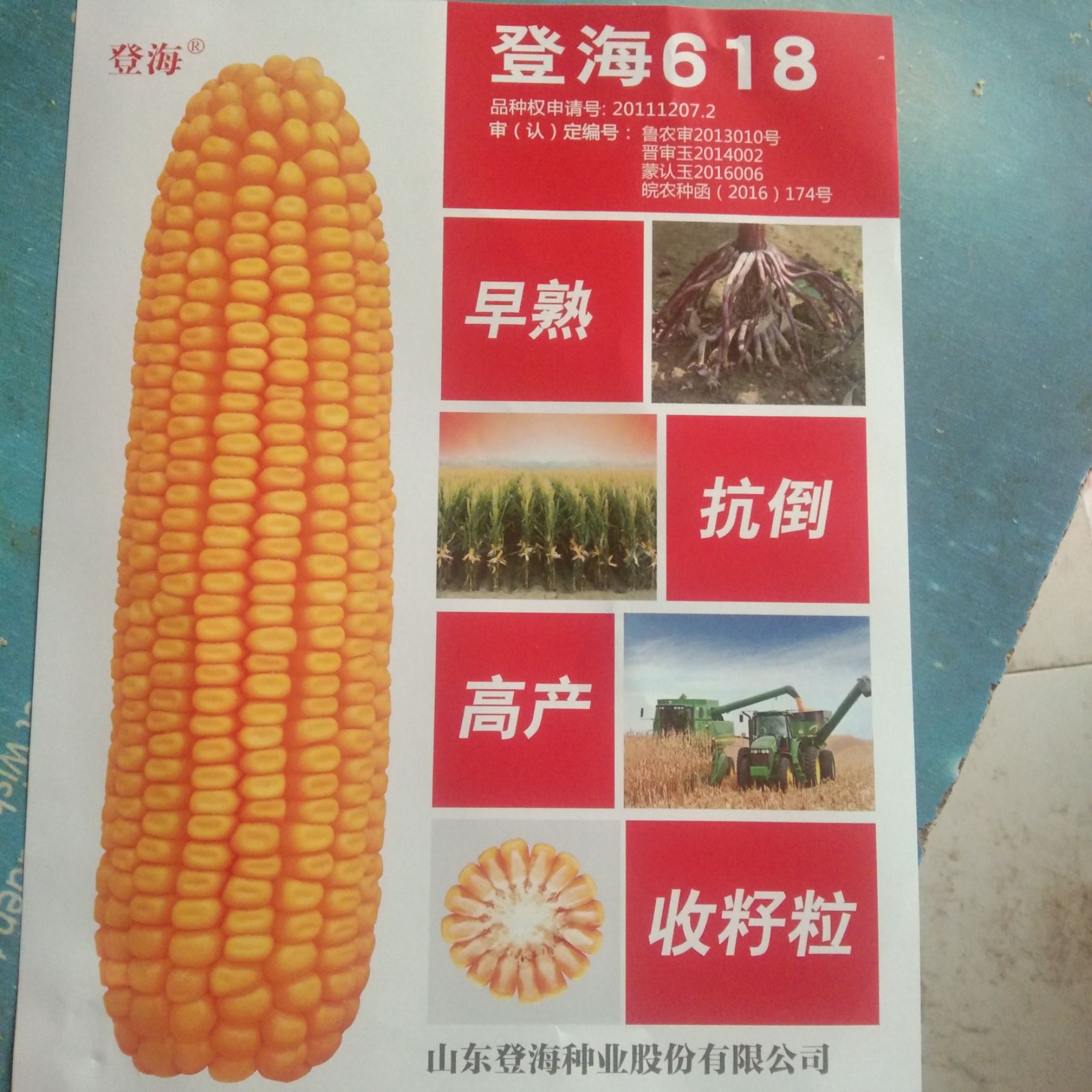 惠农网 玉米种子 登海618 双交种 ≥90% 约3.1斤/袋 手机预览