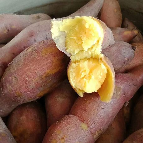 黄心红薯 3两以下 黄皮