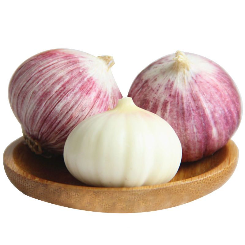 紫皮独头蒜 2.5cm 独头 约5.0斤\/箱