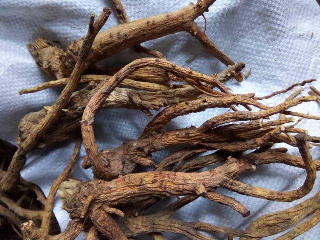 前胡 达标白花前胡干品
