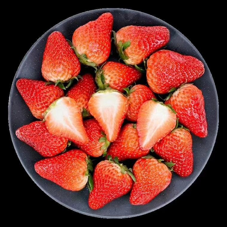 山东临沂市沂南县甜查理草莓最新产地行情趋势