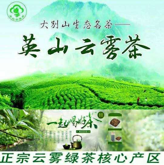 茶叶湖北特产英山云雾茶手工茶机械茶高山绿茶