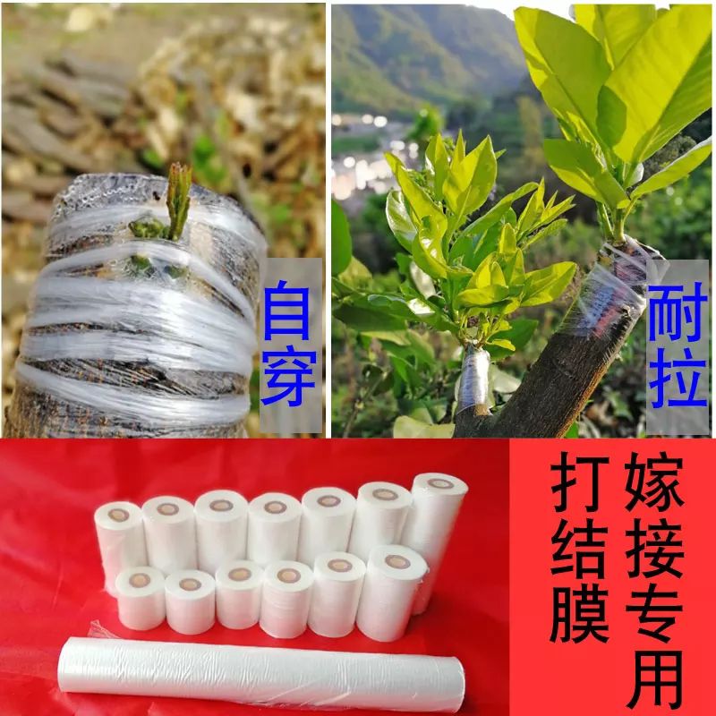 嫁接膜 厂家直销质量好