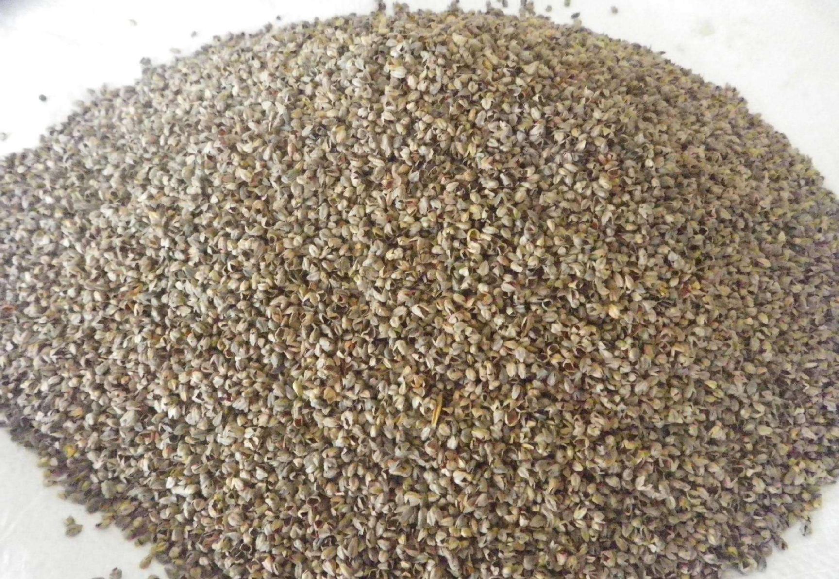 【苦荞批发】苦荞 价格3元\/斤 1000斤起批