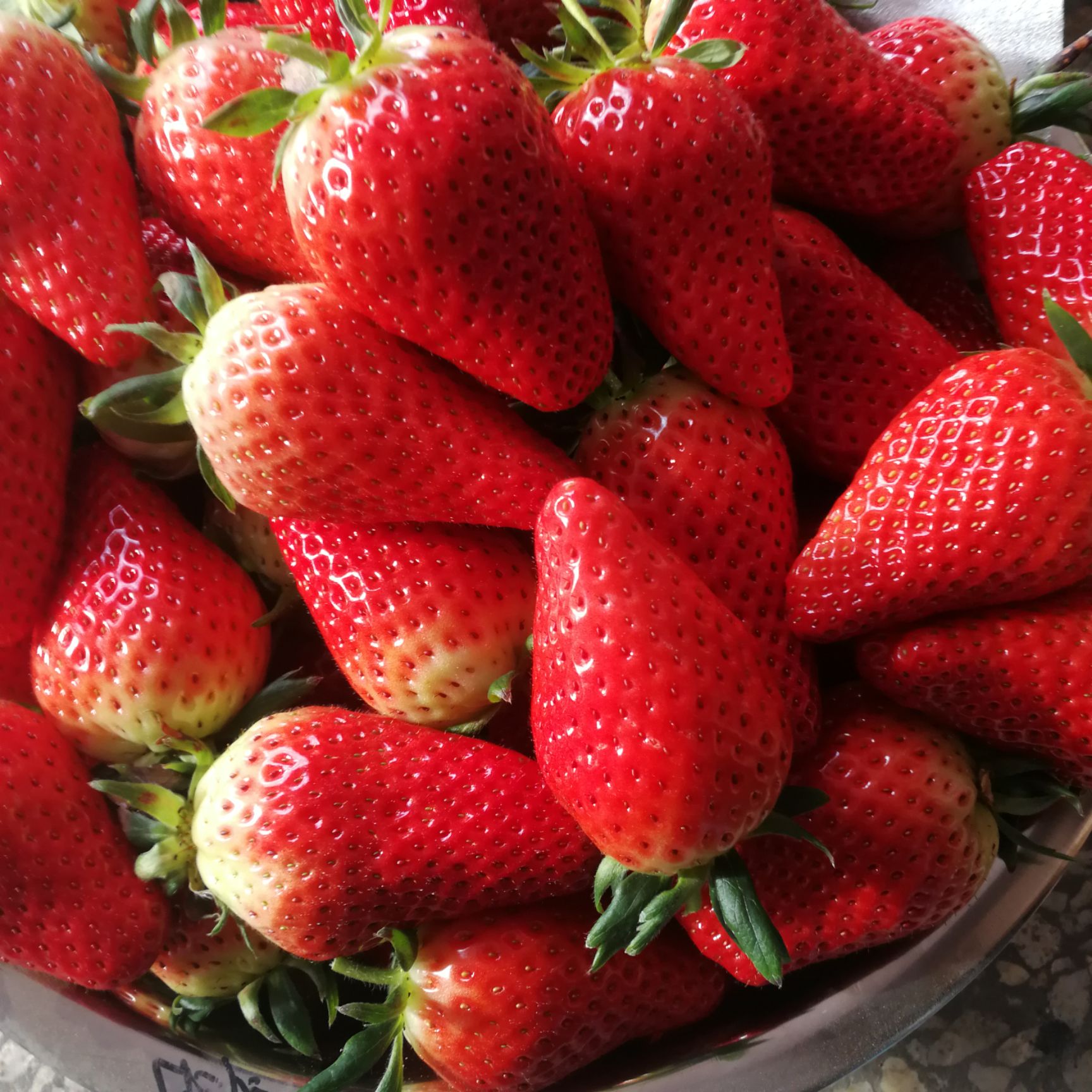 山东烟台市海阳市甜宝草莓最新产地行情趋势|