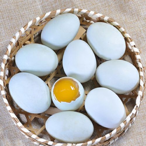 湖北随州市随县土鸭蛋最新产地行情趋势|产地