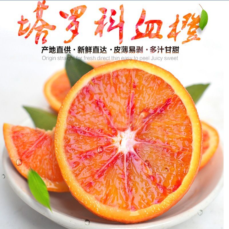 重庆重庆市合川区塔罗科血橙最新产地行情趋势