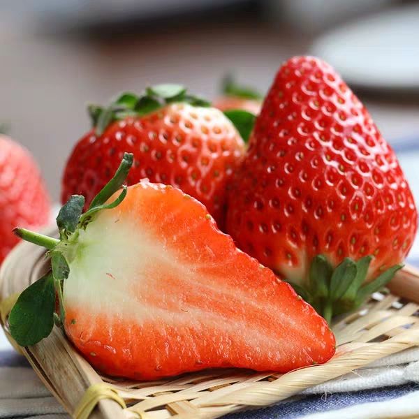 安徽合肥市长丰县奶油草莓最新产地行情趋势|