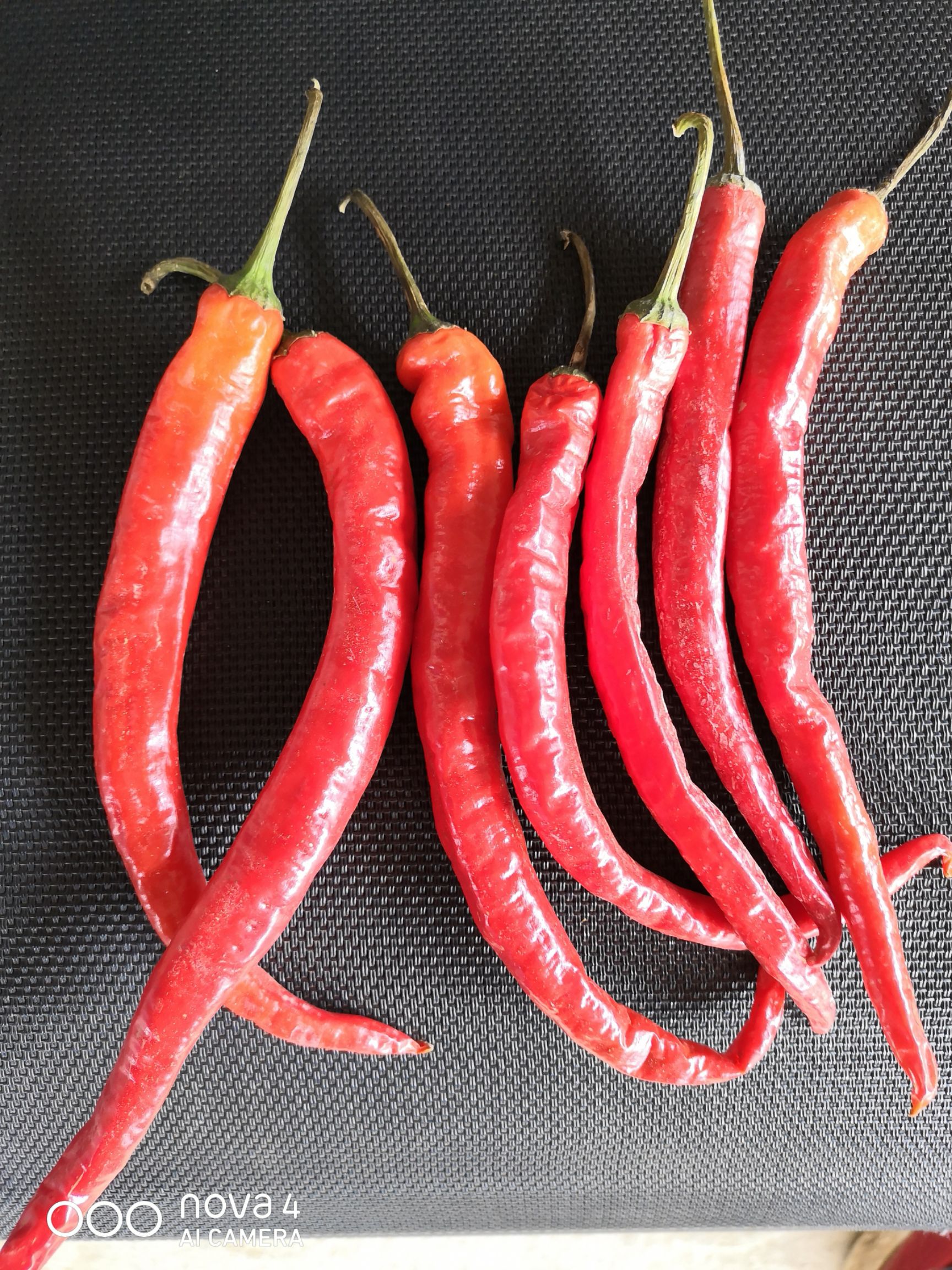 二荆条辣椒 15~20cm 特辣 红色 