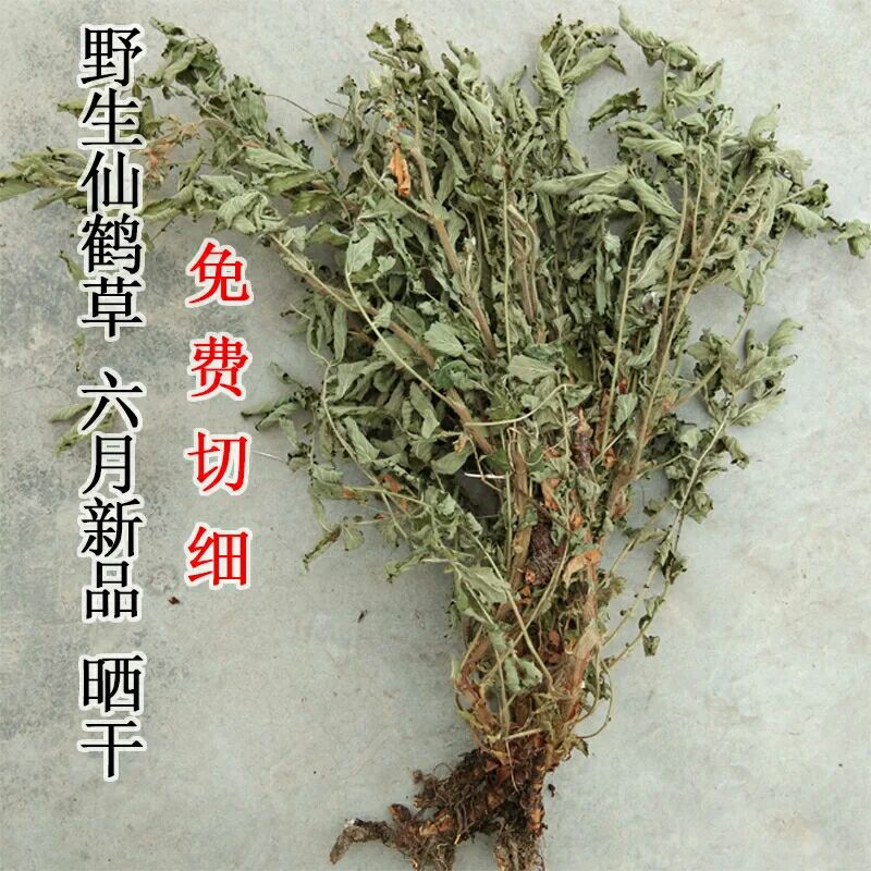 仙鹤草 干 新货,可帮助切片