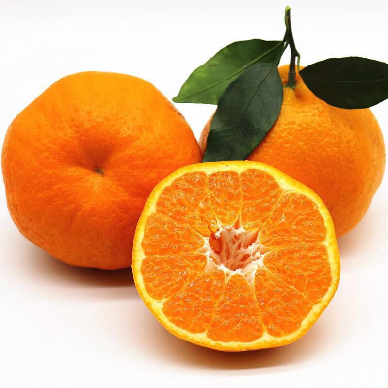 四川成都市龙泉驿区耙耙柑最新产地行情趋势|