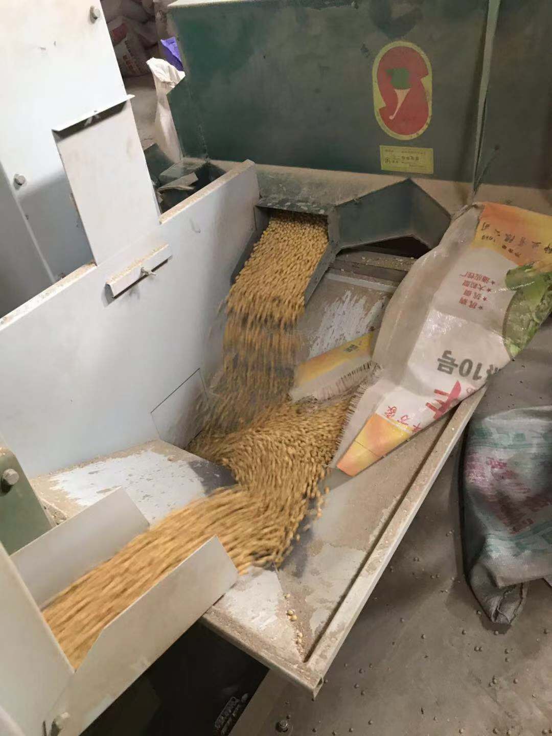 翠扇大豆 生大豆 1等品 