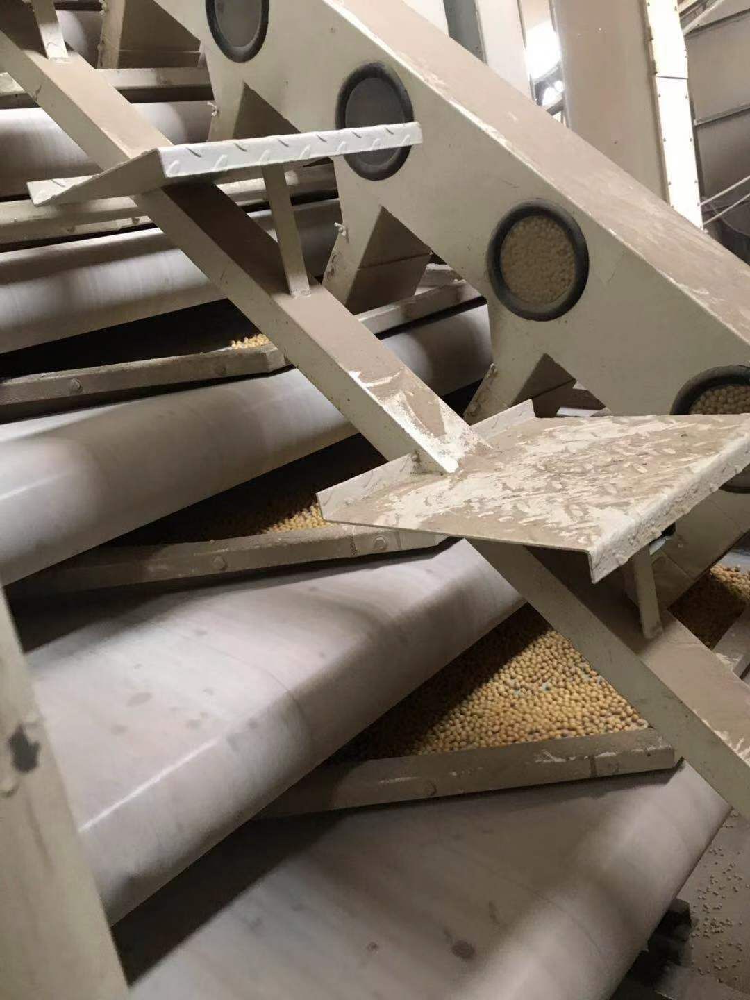 翠扇大豆 生大豆 1等品 