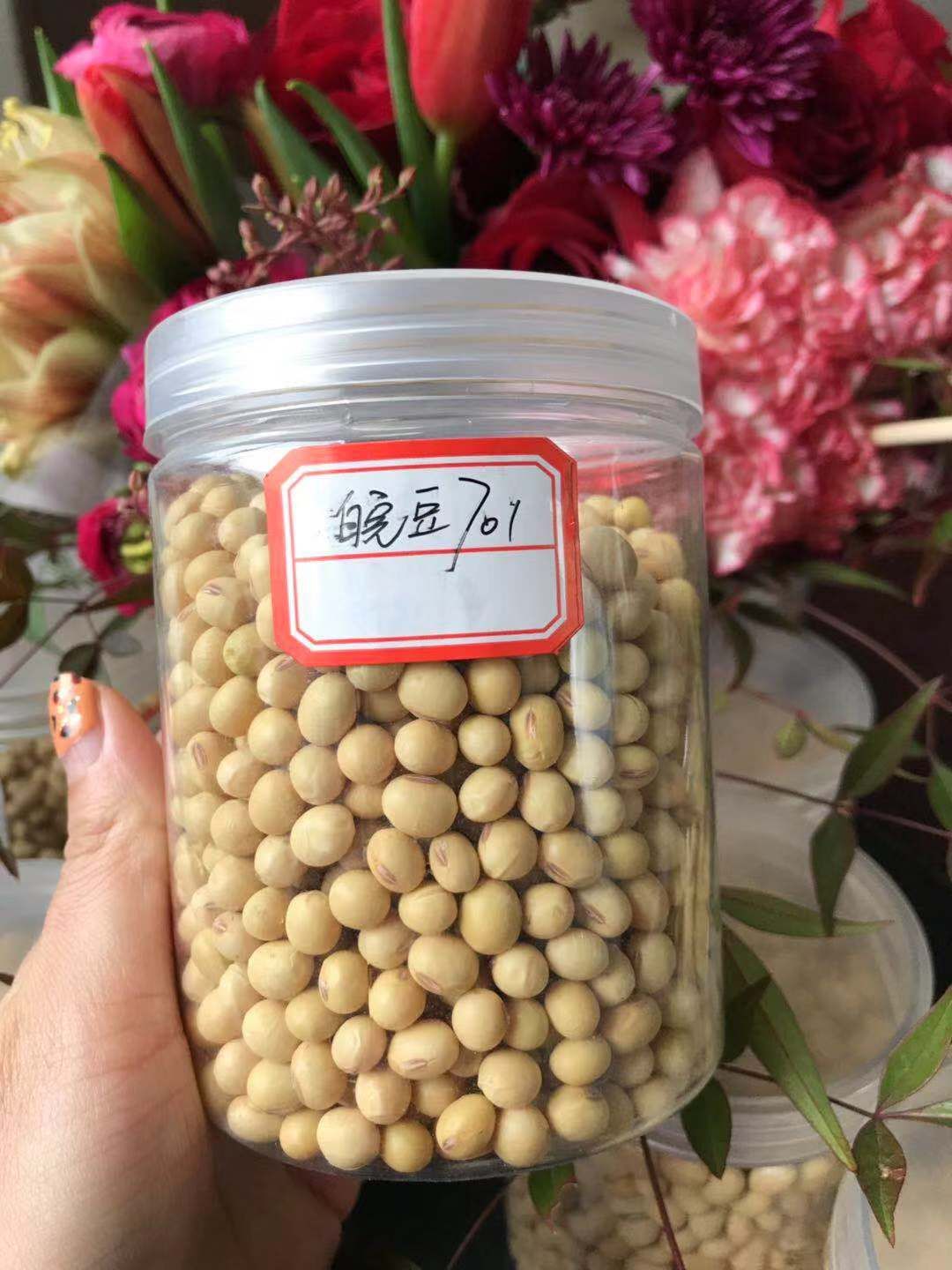 翠扇大豆 生大豆 1等品 