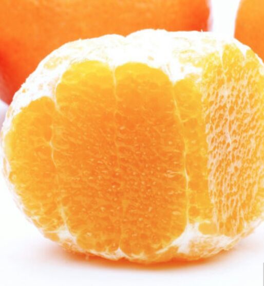 四川省眉山市东坡区茂谷柑最新产地行情趋势|