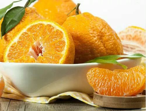 四川成都市双流县耙耙柑最新产地行情趋势|产