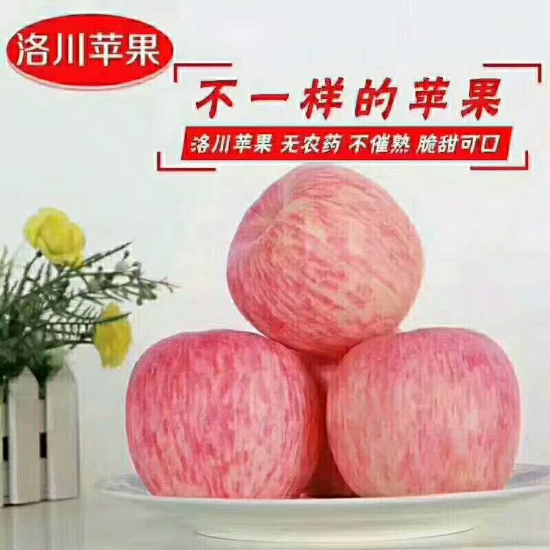 惠农网 苹果 洛川苹果 膜袋 片红 75mm以上 手机预览