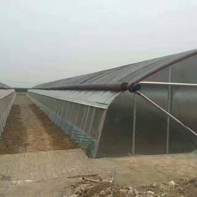 钢管大棚